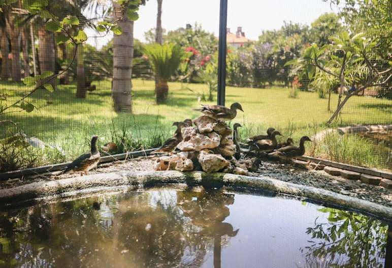 Camyuva Motel Kemer Eksteriør billede
